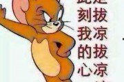 吃瓜群众照片可爱